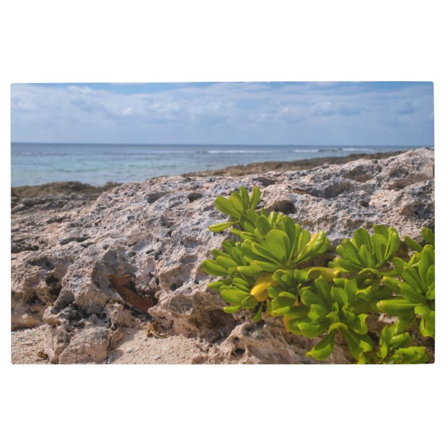 サンゴの縁 メタルプリント (正面)