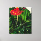 サンゴの葉植物の花 キャンバスプリント (正面)