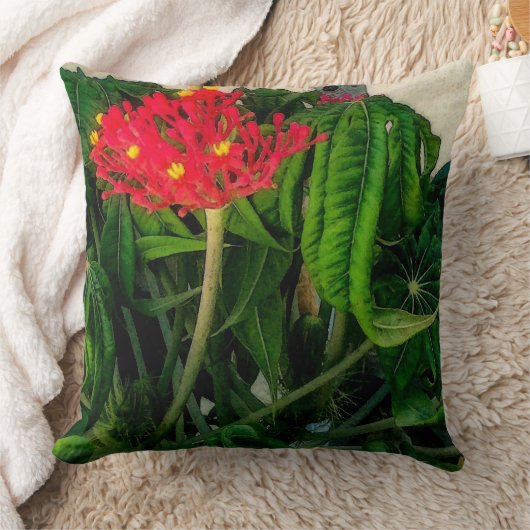 サンゴの葉植物の花 クッション (ブランケット)