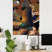 サンゴの魚 ポスター (ホームオフィス)