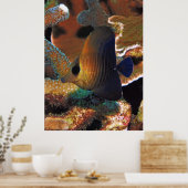 サンゴの魚 ポスター (キッチン)