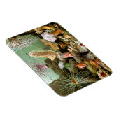 サンゴイソギンチャクの海洋生物、ヴィンテージの海洋動物 マグネット (右側)