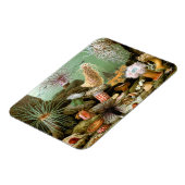 サンゴイソギンチャクの海洋生物、ヴィンテージの海洋動物 マグネット (左側)