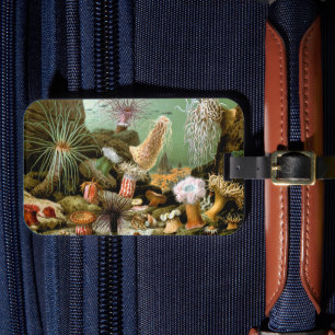 サンゴイソギンチャク、ビンテージ海洋生物の海の動物 ラゲッジタグ