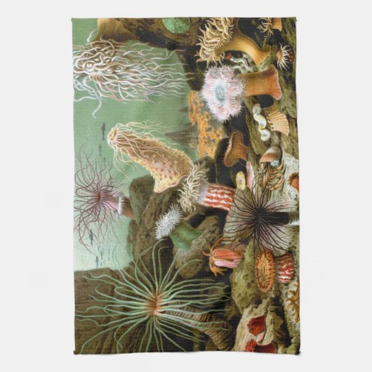 サンゴイソギンチャク、ビンテージ海洋生物学の海洋動物 キッチンタオル (縦)
