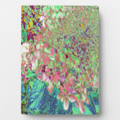 サンゴエレガントとチャートレイズライムライトアジサイ フォトプラーク (正面)