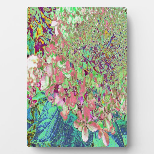 サンゴエレガントとチャートレイズライムライトアジサイ フォトプラーク (正面)