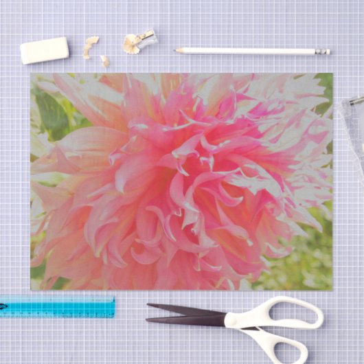 サンゴエレガントとピンクの装飾ダリア 薄葉紙 (クラフト)