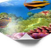 サンゴカラフルと熱帯魚 フォトプリント            (角)
