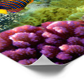 サンゴカラフルと熱帯魚 ポスター (角)