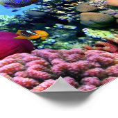 サンゴカラフル礁クリッター ポスター (角)