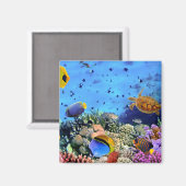 サンゴカラフル礁クリッター マグネット (正面/裏面)