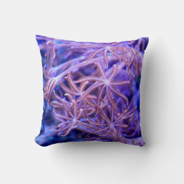 サンゴカラフル礁 クッション