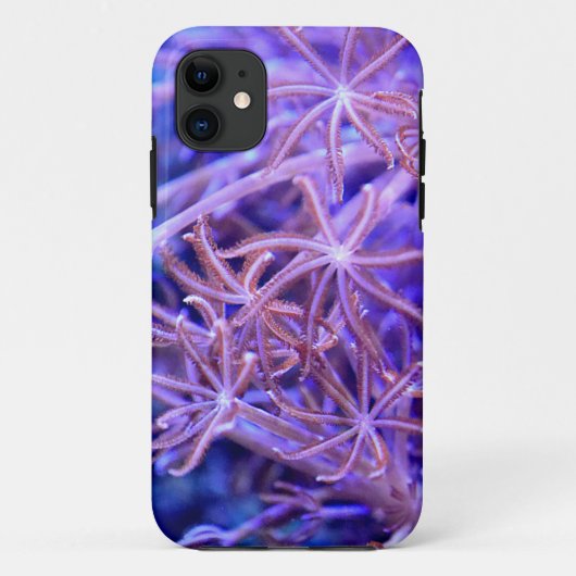 サンゴカラフル礁 Case-Mate iPhoneケース (裏面)
