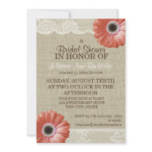 サンゴデイジー及びレースブライダルシャワー