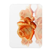 サンゴバラの花と楽譜 マグネット (縦)