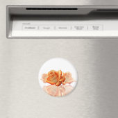 サンゴバラの花と楽譜 マグネット (インサイチュ (食洗機))