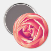 サンゴバラプリント マグネット (正面/裏面)