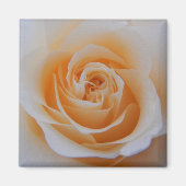 サンゴバラ マグネット (正面)