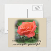 サンゴバラ（雨滴） ポストカード (正面/裏面)