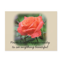 サンゴバラ（雨滴）