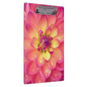 サンゴピンクのダリアの花 クリップボード (右)