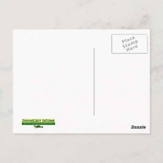 サンゴモのイグアナのポストカード ポストカード (裏面)