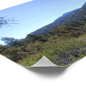 サンゴルゴニオウィルダネス ポスター (角)