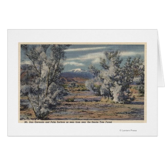 サンゴルゴニオ山とパーム春の眺め (正面横)