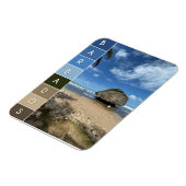 サンゴ大きい石 – バスティバ，バルバドス マグネット (左側)