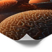 サンゴ威厳のあるの上で泳ぐ鮮やかサメ ポスター (角)