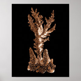 サンゴ沿岸航海の海ビーチシーブラック ポスター