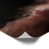 サンゴ海老 ポスター (角)