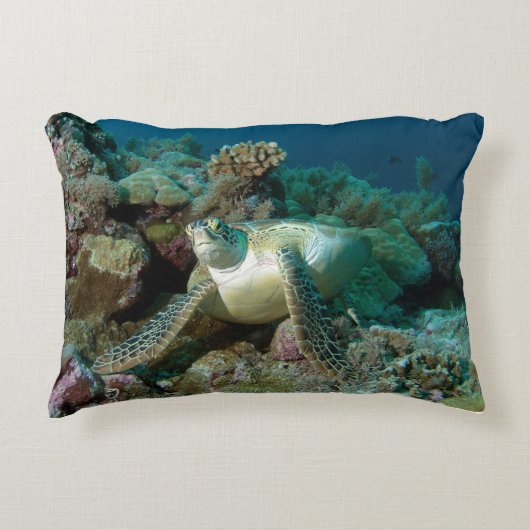 サンゴ礁で休んだ後のアカウミガメ |  アクセントクッション (正面)