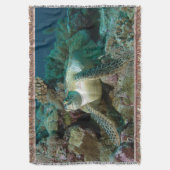 サンゴ礁で休んだ後のアカウミガメ | スローブランケット (正面縦)