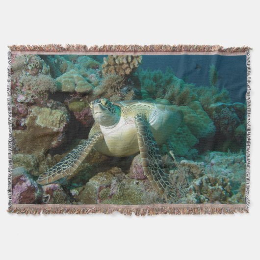 サンゴ礁で休んだ後のアカウミガメ | スローブランケット (正面)