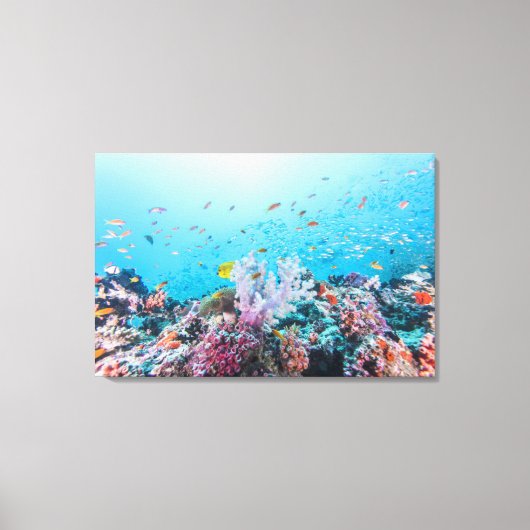 サンゴ礁とサンゴカラフルとのスキューバダイビング キャンバスプリント (正面)