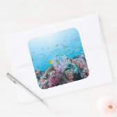 サンゴ礁とサンゴカラフルとのスキューバダイビング スクエアシール (封筒)