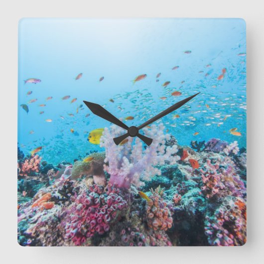 サンゴ礁とサンゴカラフルとのスキューバダイビング スクエア壁時計 (正面)