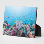 サンゴ礁とサンゴカラフルとのスキューバダイビング フォトプラーク (側面)