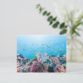 サンゴ礁とサンゴカラフルとのスキューバダイビング ポストカード (スタンド正面)