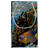 サンゴ礁と外来魚 スモールペーパーバッグ (裏面)