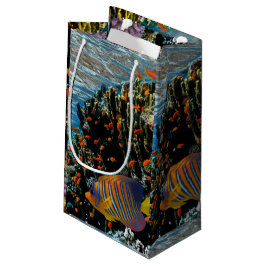 サンゴ礁と外来魚 スモールペーパーバッグ