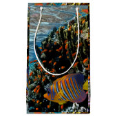 サンゴ礁と外来魚 スモールペーパーバッグ (正面)