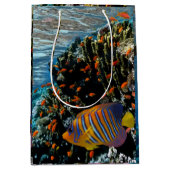 サンゴ礁と外来魚 ミディアムペーパーバッグ (正面)