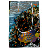 サンゴ礁と外来魚 ミディアムペーパーバッグ (裏面)