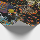 サンゴ礁と外来魚 ラッピングペーパー (角)