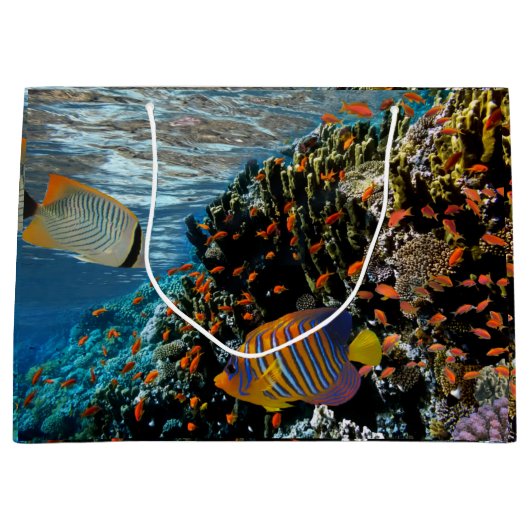 サンゴ礁と外来魚 ラージペーパーバッグ (正面)