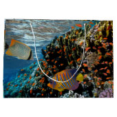 サンゴ礁と外来魚 ラージペーパーバッグ (裏面)