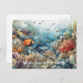 サンゴ礁と魚類の水色 ポストカード (正面/裏面)